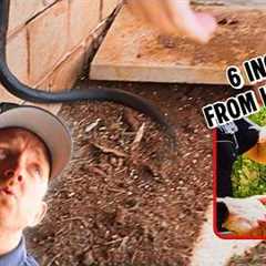 One Of My Closest Calls Yet