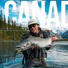 This Glacier River Is FULL of Giant Bull Trout (Fly Fishing Canada)