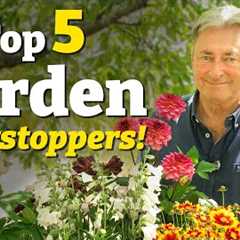 Top 5 Showstopping Plants to Transform Your Garden
