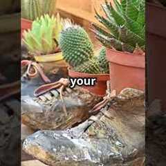 Gardening made easy with these amazing hacks