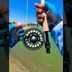 Tips using A fly Rod for fly fishing#fishing#tips#fish#shortvideo#shorts#short#viral#youtube#bass