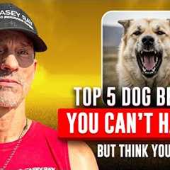 Top 5 Dog Breeds You Can’t Handle (But Think You Can)