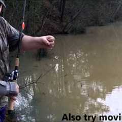 How to start fishing