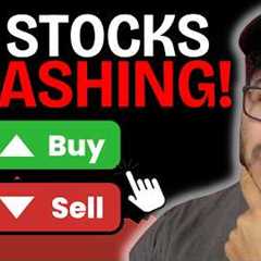 Is the AI Stock Market CRASH a Buying Opportunity?