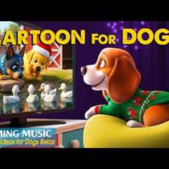 Dog Cartoon: TOP Anti-Boredom Videos for Dogs to Watch Home Alone – Relaxing Dog TV & Music for ..