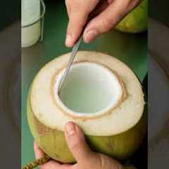 How Thailand Turns Coconuts Into a Million-Dollar Business! #shorts #plants #farming