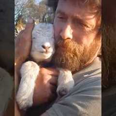 Animals teach us love ❤️