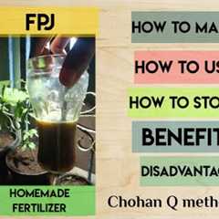 FPJ Plant Fermented Juice | How to make,use, preserve ,store? Homemade fertilizer Chohan Q method