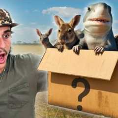 Buying The Creepiest Live Animal Box Off The Web…