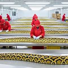 Inside the PYTHON SKIN Factory: How GIANT Snakes Become $10,000 Handbags | BILLION DOLLAR INDUSTRY