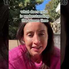 Landscape Design Rules ep. 2