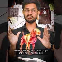 Enhancing Cybersecurity with Machine Learning #ai #machinelearning #cybersecurity