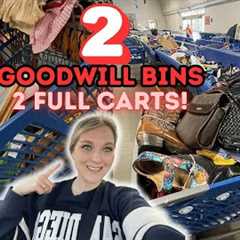 2 Goodwill Bins in 1 DAY! We’re Back In Portland And WE Got 💥2 FULL CARTS💥! +2 HAULS!