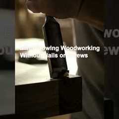 Mind-Blowing Woodworking Without Nails or Screws
