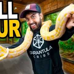 Complete Reptile Room Tour!