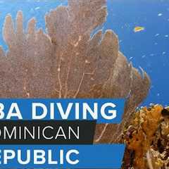 Scuba Diving in the Dominican Republic w/@GoDominicanRepublic
