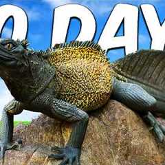 Keeping A Dragon as A Pet ( Yes really )