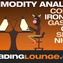 Commodities Markets  Futures Trading - Elliott Wave Analysis Strategies