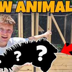 BUYING NEW EXOTIC ANIMALS!