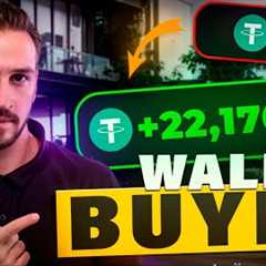 Rugpull Devs Know: Wallet Age = Instant Trust = More $ / Crypto Arbitrage With Sell Wallet Strategy