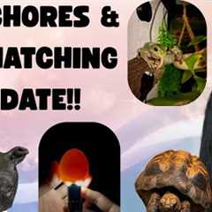 Lots Of Pet Chores & A BIG UPDATE!! 