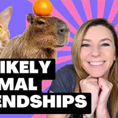 The Most UNBELIEVABLE Animal Friendships (Wholesome Compilation)