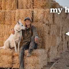 Building My Own House OFF-GRID // Foundation & Learning Everything as I Go