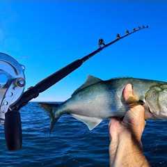 24 Hours Fishing for Giant Fish With BIG BAIT! Giant Tuna fishing!