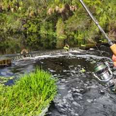 Fishing TINY Everglades spillways & bridges for BIG fish