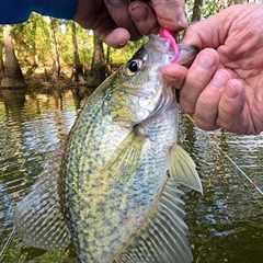 Catch More Crappie, Bass and Bream with These 2 Unusual Lure Tips?