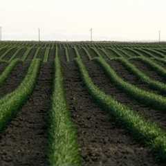 Drones and the Future of Farming | National Geographic