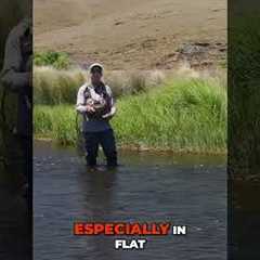 Dry Fly Fishing: Mistakes and Fixes!
