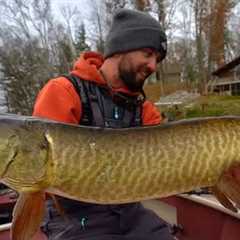 The ART Of Fall Musky SUCKER FISHING!!