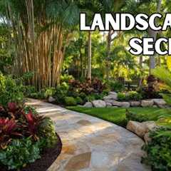 Landscaping Secrets for a Resort-Style Tropical Garden: Professional Tips and Design Inspirations