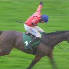 Skelicopter returns as Panic Attack wins Paddy Power Gold Cup | Racing TV