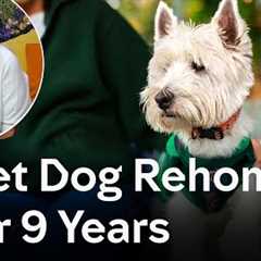 Piglet Dog Transforms Woman's Life | The Dog House 🐶