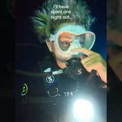 The most unreal dive of my life 🥹🩵 Full experience video is on my page!