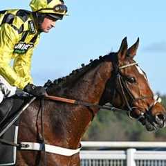 Perfect start over fences for Lulamba at Exeter | Racing TV