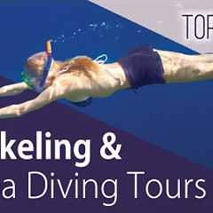 Snorkeling & Scuba Diving in Costa Rica | Marine Life & Ocean Adventures