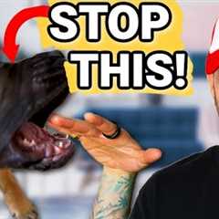 Puppy Training- How To Stop Puppy Biting Guaranteed! STOP Puppy Biting In Seconds!