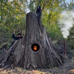 Building a Secret Shelter Inside a Giant Tree | Bushcraft & Survival Skills