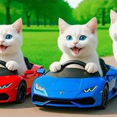 Mama Cat Trims Fur on the Farm and Makes Tiger Hat For Kittens At Home🐾🎩🐯