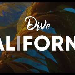 Scuba Diving in California