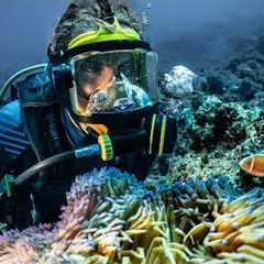 Scuba Diving In Our Own Private Paradise! (Expedition Drenched S1 Ep 52)