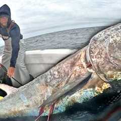 We Hooked a GIANT...Bluefin Tuna Fishing
