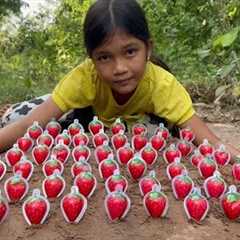 Part 38 Survival Skills SMART Ideas and USEFUL in Forest With Single Mom  Jungle Life