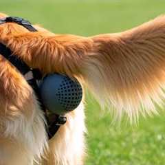 40 CLEVER Amazon Products For Your Pets!