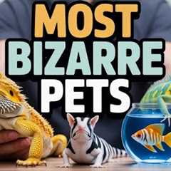 Top 12 Exotic Pets You Can Actually Own | Care Tips, Diet, and Setup Explained