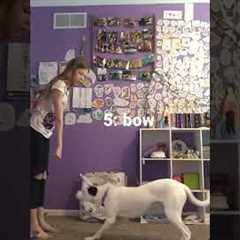 My dog’s top 5 tricks #dogs #cutedog #doglovers #dogtricks #dogtraining