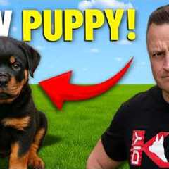 Secret ADVANTAGE Of Training Rottweiler!